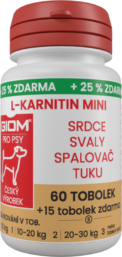 GIOM L-karnitin Aktiv 60 tobolek MINI  + 25 % zdarma