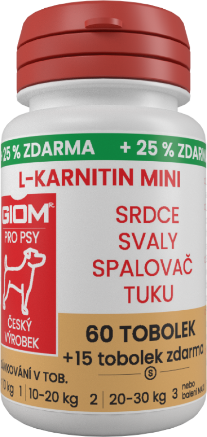 GIOM L-karnitin Aktiv 60 tobolek MINI  + 20% zdarma