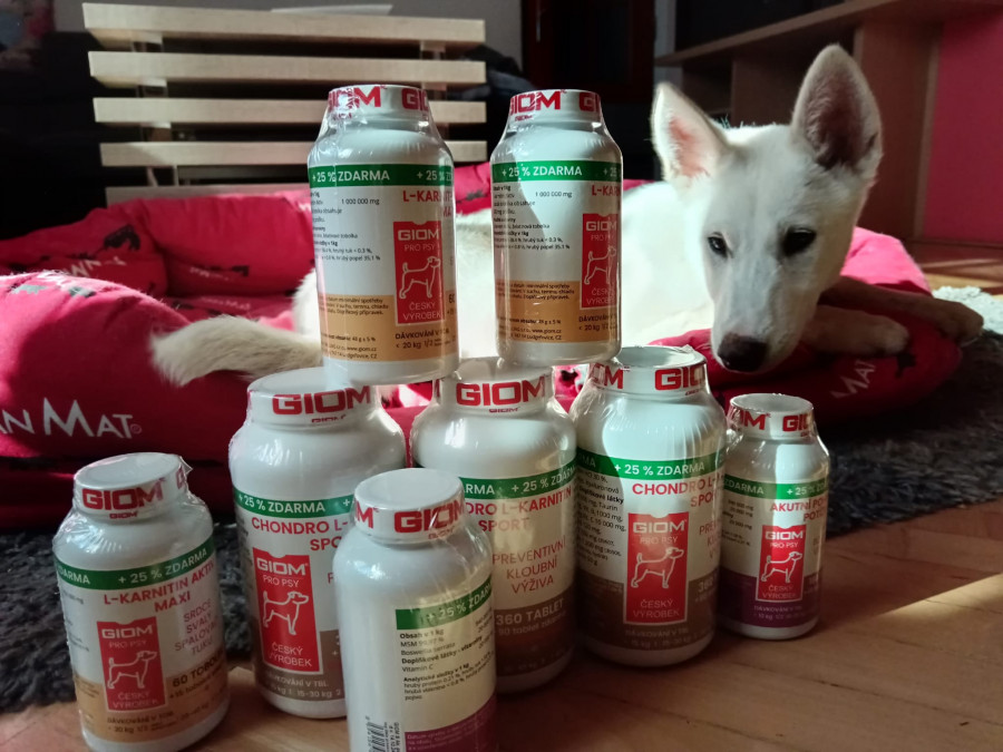 Foto k příspěvku