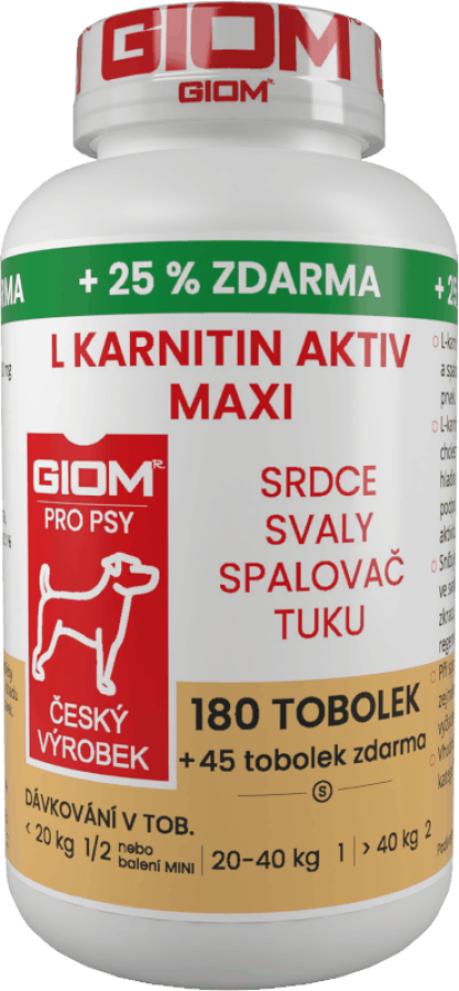 GIOM L-karnitin Aktiv 60 tobolek MAXI  + 20% zdarma