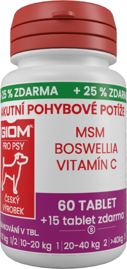 GIOM Akutní pohybové potíže 60 tablet  + 20% zdarma