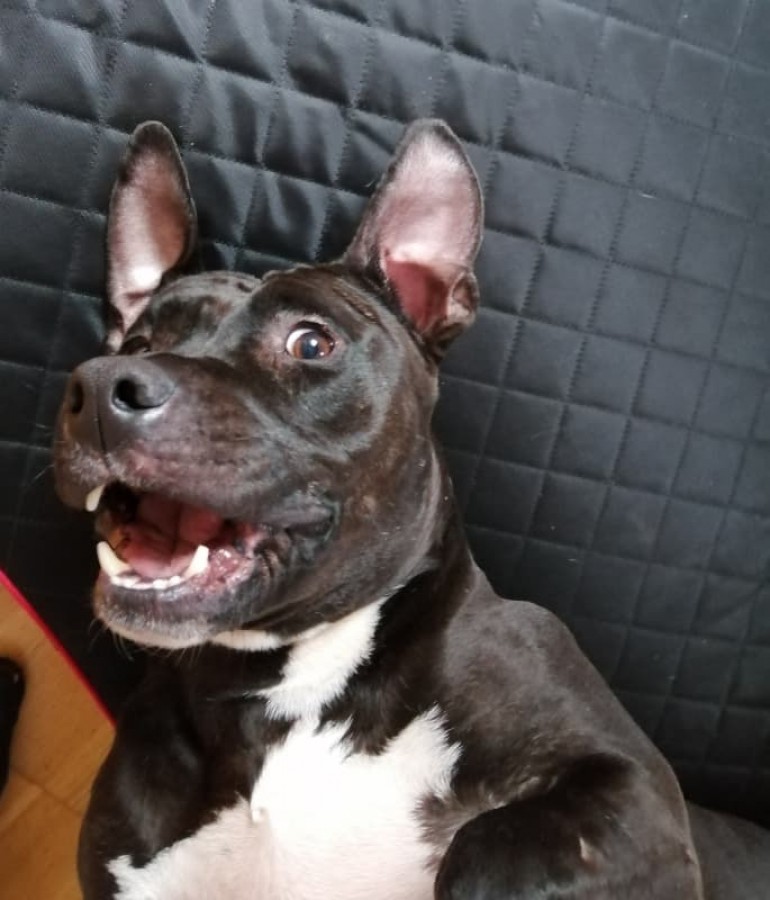 Foto k příspěvku