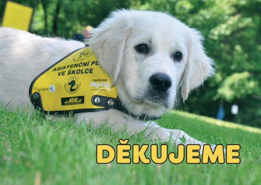 Foto k příspěvku