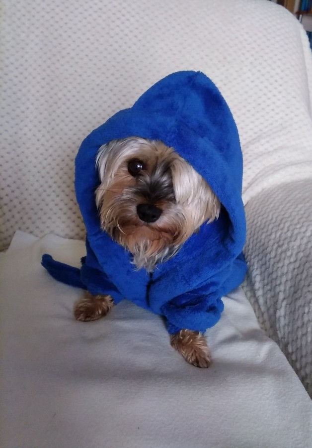 Foto k příspěvku